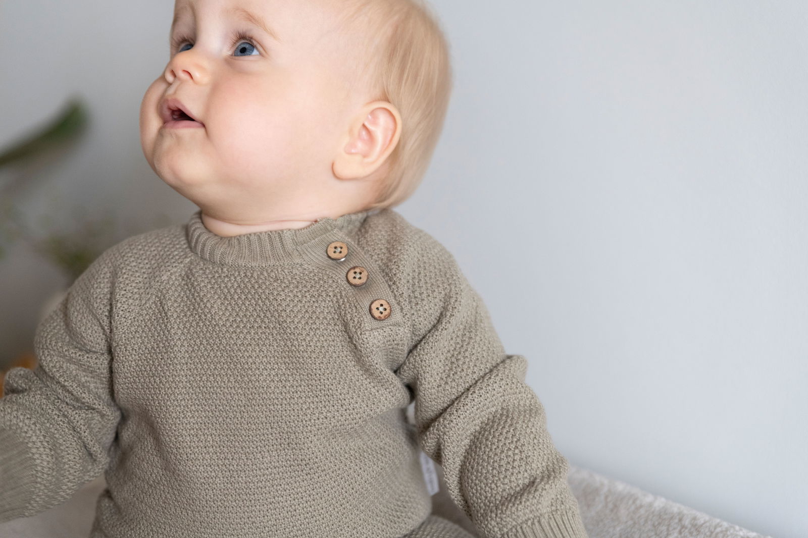 Truitje Willow urban green - 80