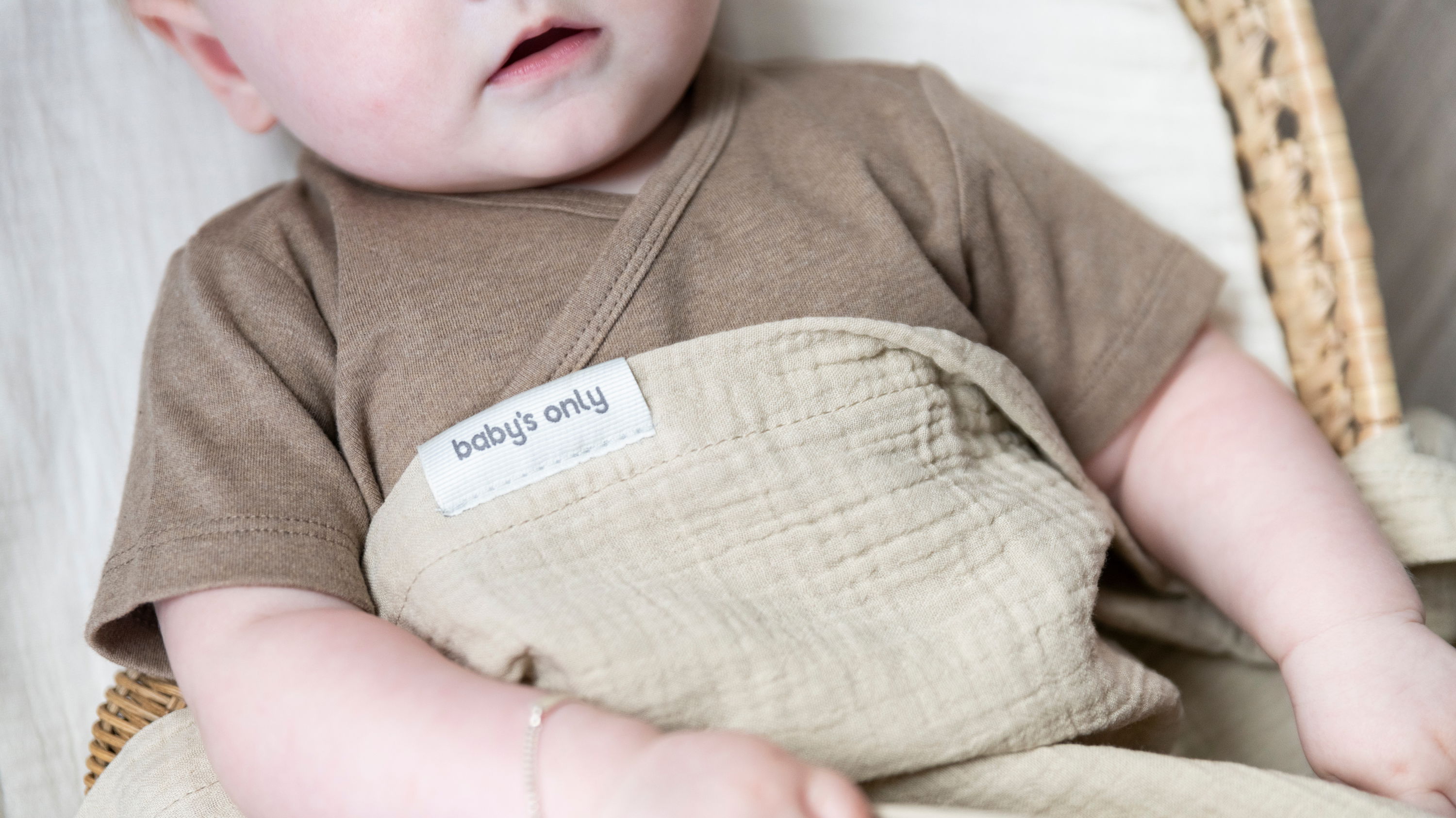 Baby crib sheet Tender clover